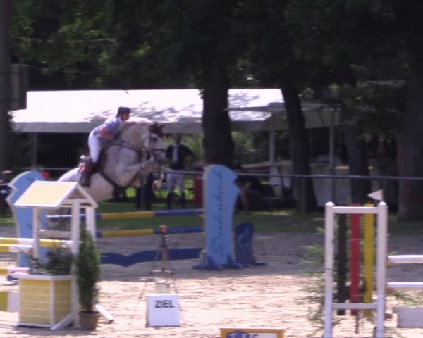 Reitturnier Neunkirchen-Salchendorf 2015