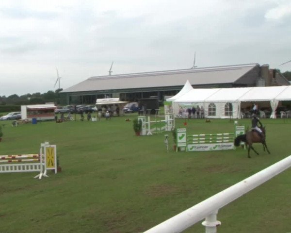 Reitturnier Behrendorf 2015