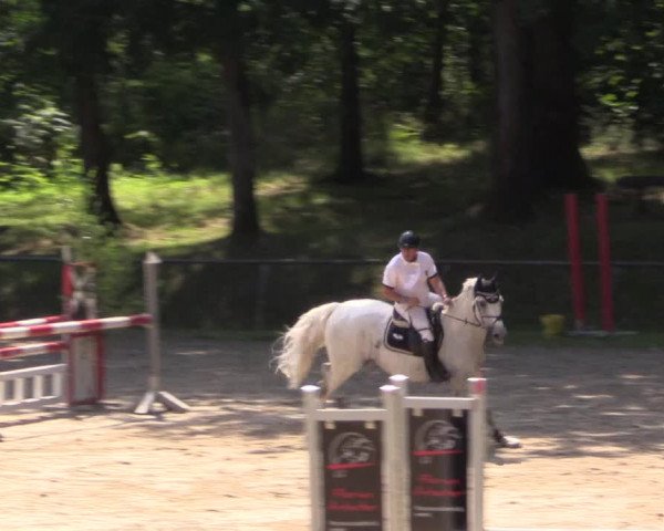 Reitturnier Neunkirchen-Salchendorf 2015