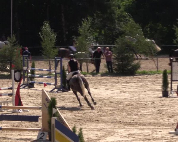 Reitturnier Neunkirchen-Salchendorf 2015