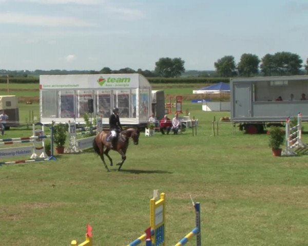 Reitturnier Behrendorf 2015
