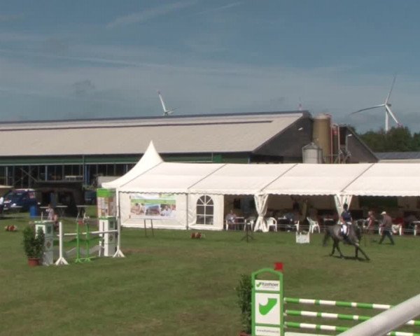 Reitturnier Behrendorf 2015