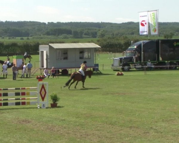 Reitturnier Behrendorf 2015