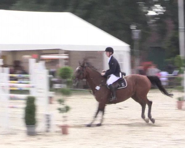 Waltroper Reitertage 2015