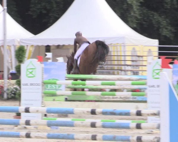 Waltroper Reitertage 2015