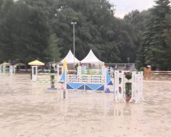 Waltroper Reitertage 2015