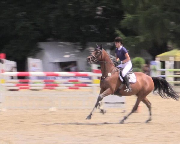Waltroper Reitertage 2015
