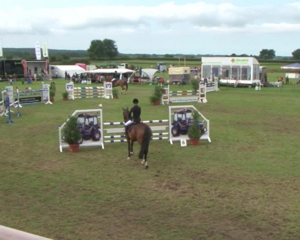 Reitturnier Behrendorf 2015