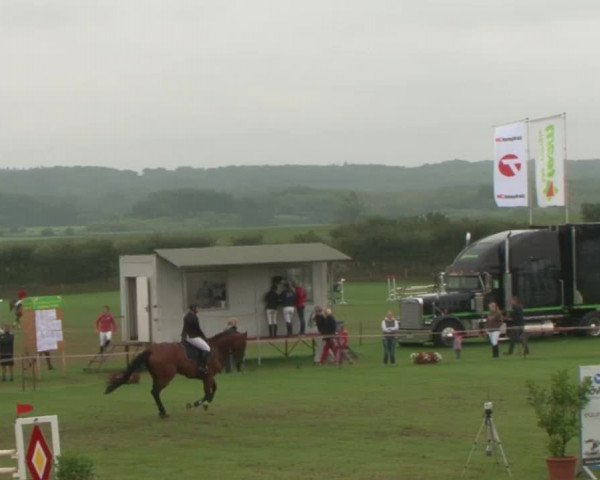Reitturnier Behrendorf 2015