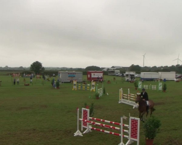 Reitturnier Behrendorf 2015