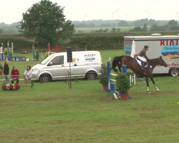 Reitturnier Behrendorf 2015