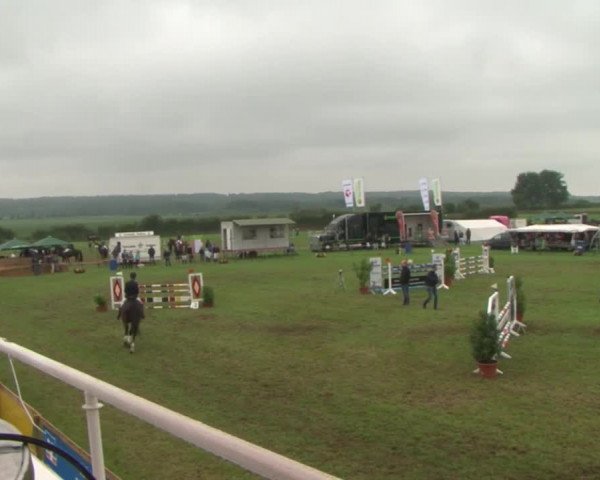 Reitturnier Behrendorf 2015