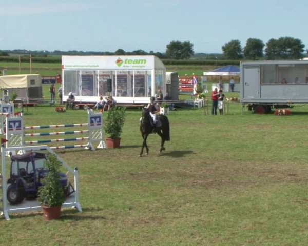 Reitturnier Behrendorf 2015