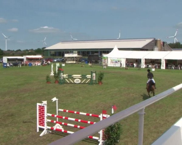 Reitturnier Behrendorf 2015