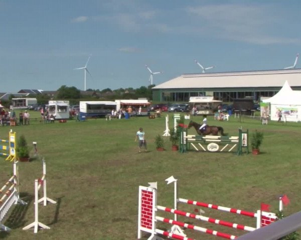 Reitturnier Behrendorf 2015