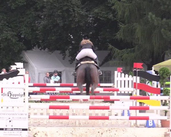 Waltroper Reitertage 2015