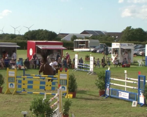 Reitturnier Behrendorf 2015