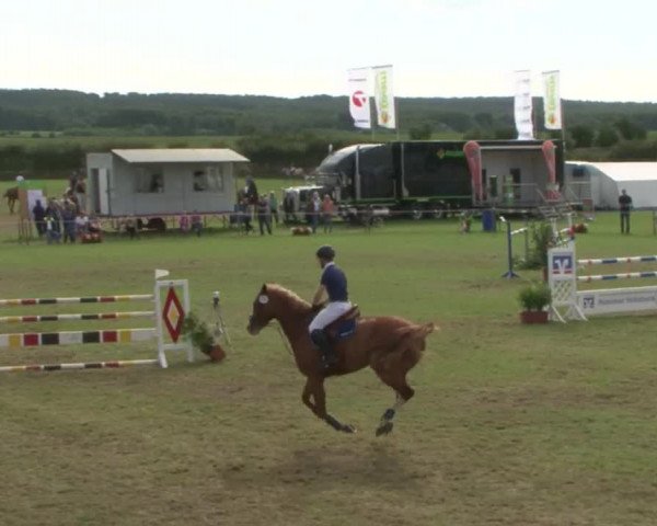 Reitturnier Behrendorf 2015