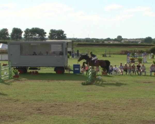 Reitturnier Behrendorf 2015