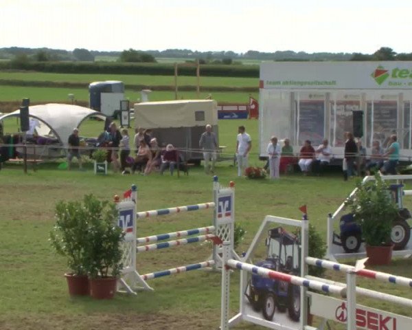 Reitturnier Behrendorf 2015