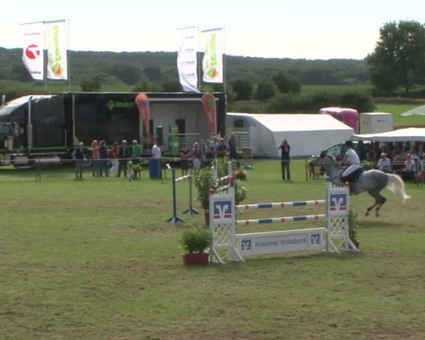 Reitturnier Behrendorf 2015