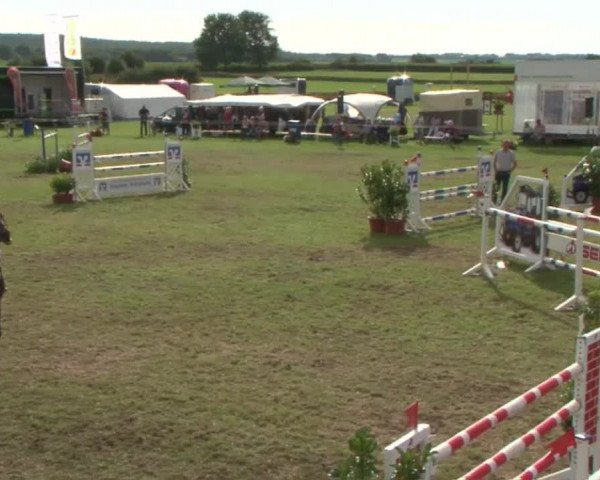 Reitturnier Behrendorf 2015