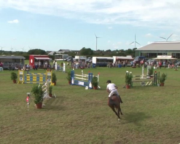 Reitturnier Behrendorf 2015