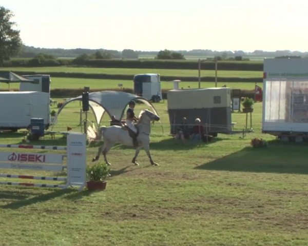 Reitturnier Behrendorf 2015