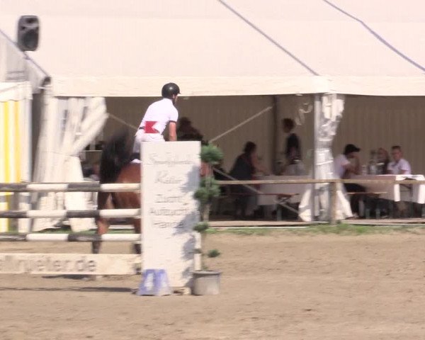Waltroper Reitertage 2015