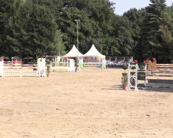 Waltroper Reitertage 2015