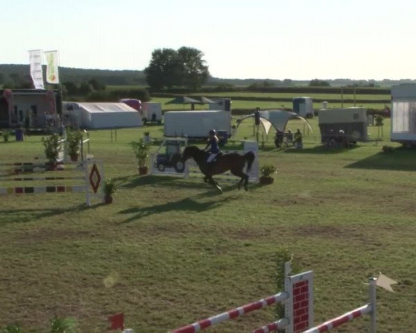 Reitturnier Behrendorf 2015