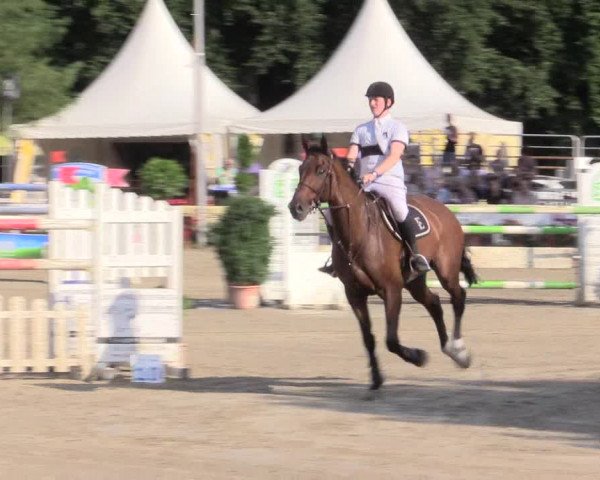 Waltroper Reitertage 2015