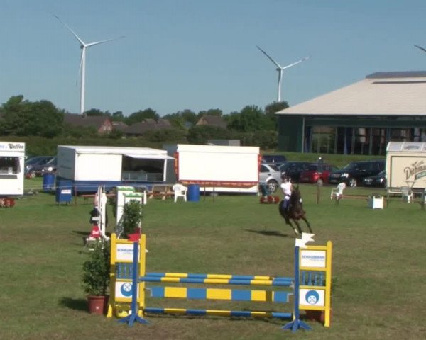 Reitturnier Behrendorf 2015