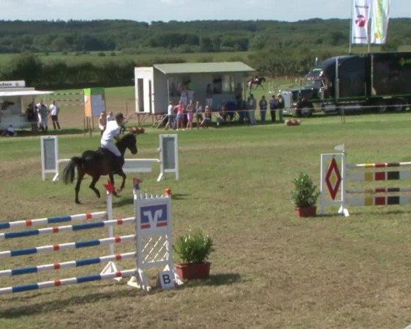 Reitturnier Behrendorf 2015