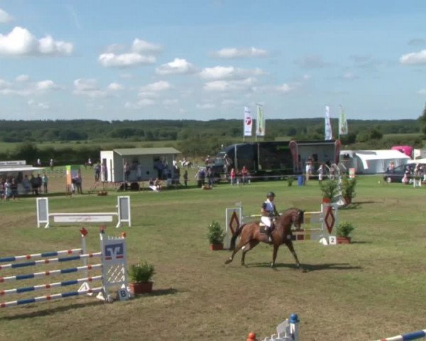 Reitturnier Behrendorf 2015