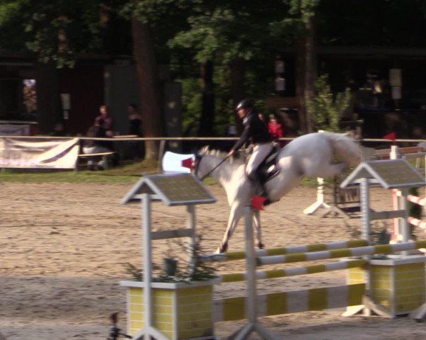 Reitturnier Neunkirchen-Salchendorf 2015