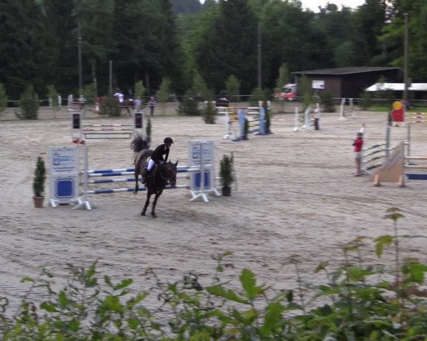 Reitturnier Neunkirchen-Salchendorf 2015