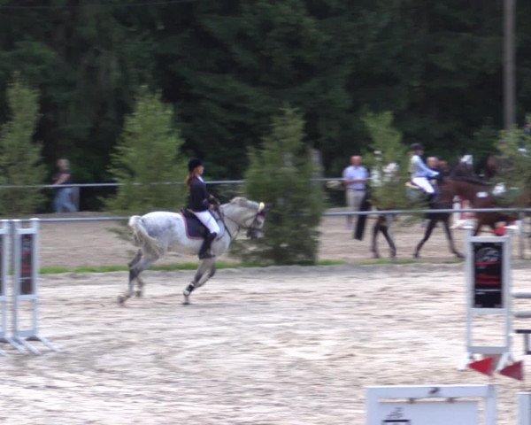 Reitturnier Neunkirchen-Salchendorf 2015