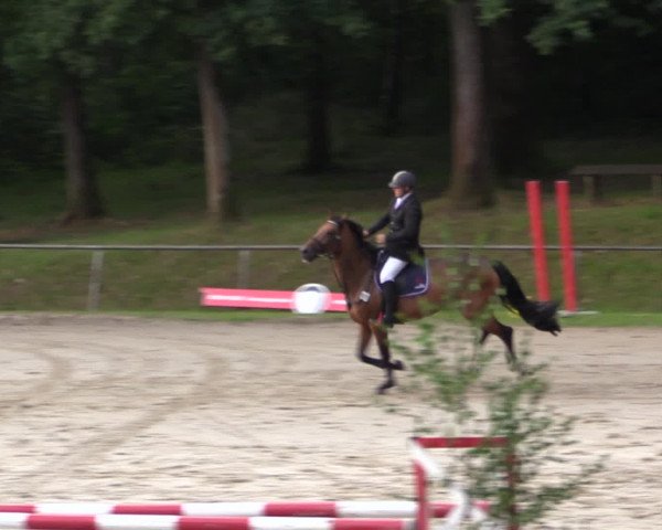 Reitturnier Neunkirchen-Salchendorf 2015