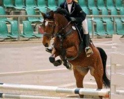 broodmare Die Wilde Hilde (Oldenburg, 2005, from Centus)