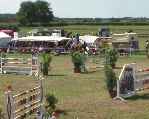 Reitturnier Behrendorf 2015
