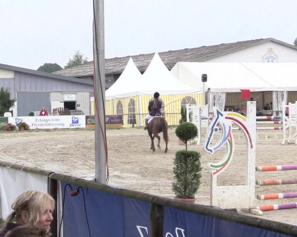 Waltroper Reitertage 2015