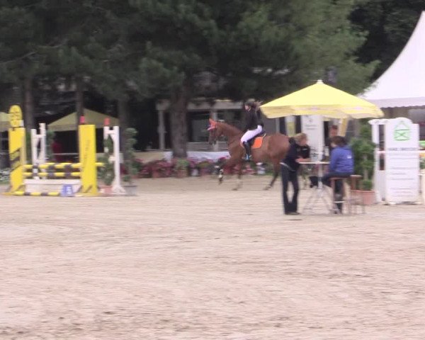 Waltroper Reitertage 2015