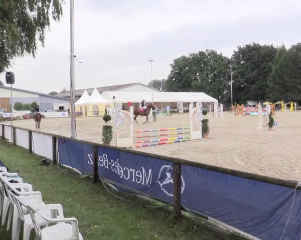 Waltroper Reitertage 2015