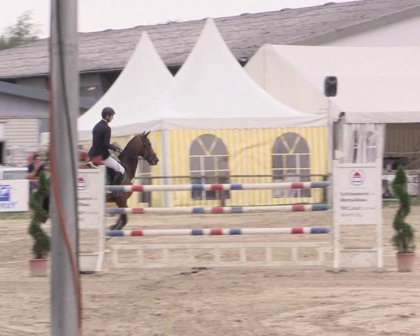 Waltroper Reitertage 2015