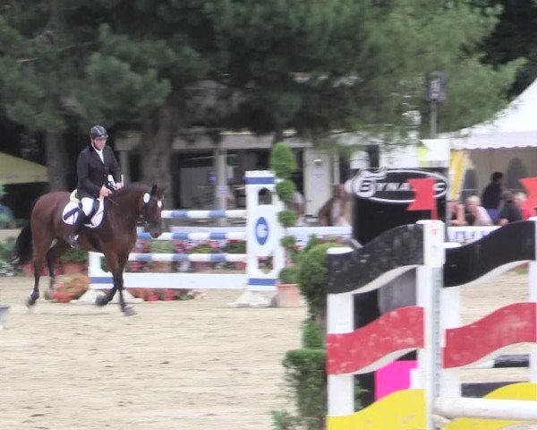 Waltroper Reitertage 2015