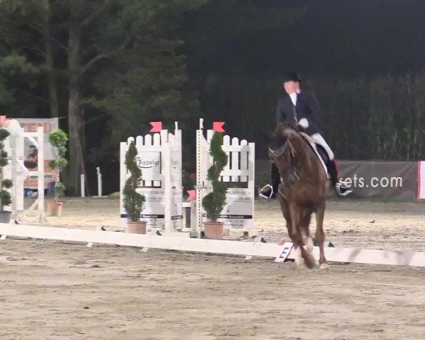 Waltroper Reitertage 2015