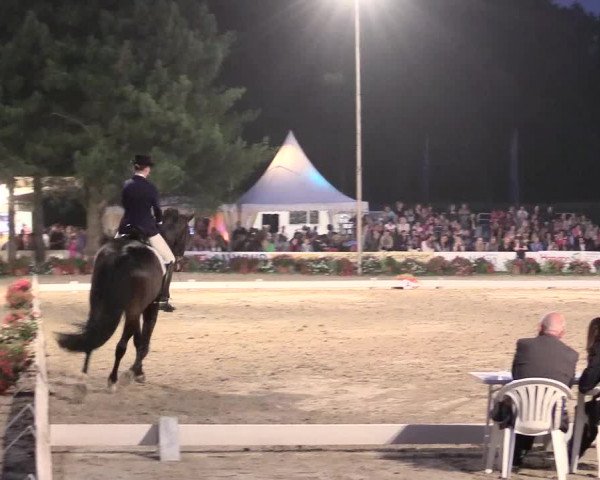 Waltroper Reitertage 2015