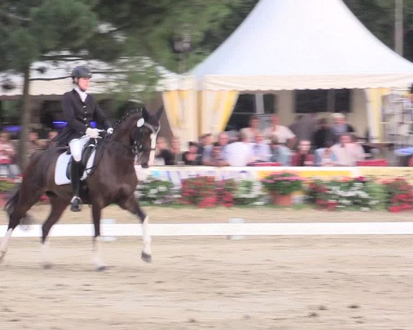 Waltroper Reitertage 2015