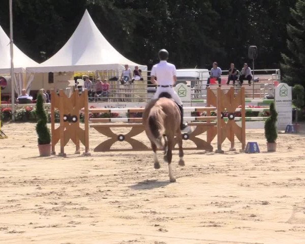 Waltroper Reitertage 2015
